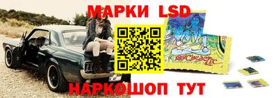 трава Гатчина