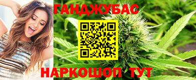 трава Гатчина
