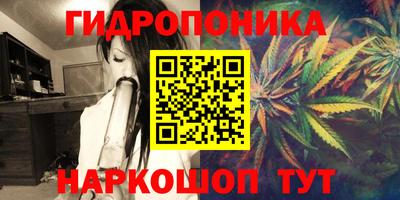 трава Гатчина